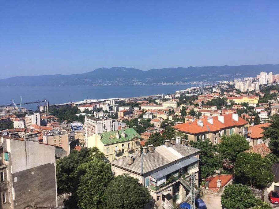 Apartment Sea City View W/ 2bd 1bt Free Street Parking