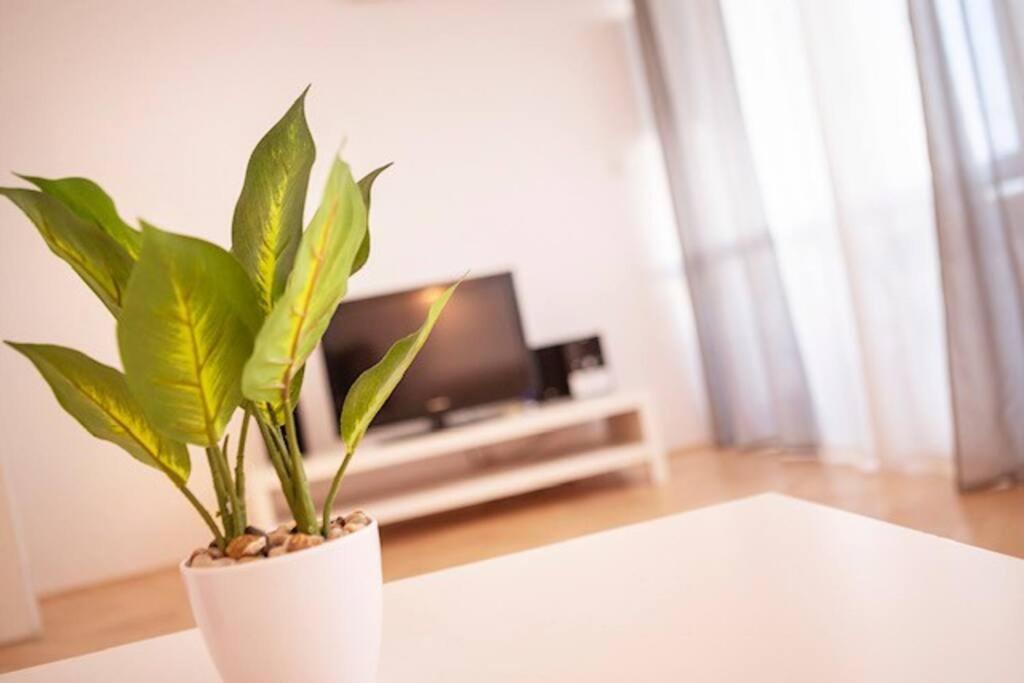 Sea City View W/ 2bd 1bt Free Street Parking * Rijeka
